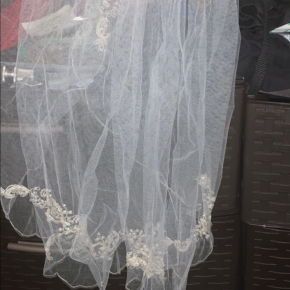 Veil - Picture 3 of 3